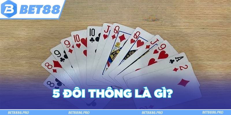 5 đôi thông là gì