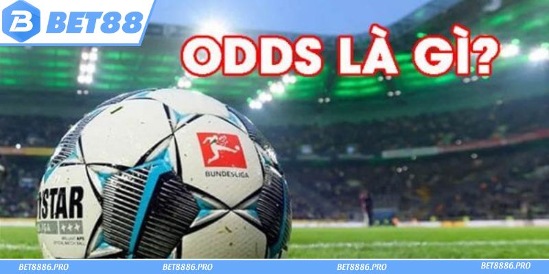 Bí quyết hiểu Odds là gì để đặt cược thông minh