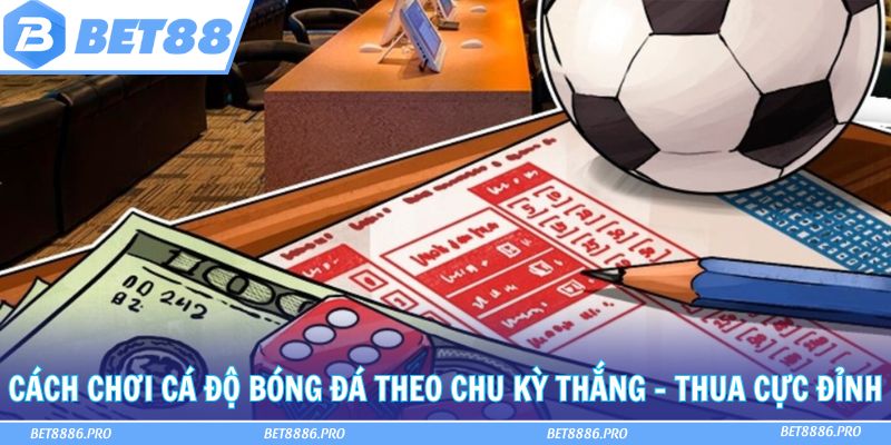 Cách chơi cá độ bóng đá hiệu quả từ chuyên gia cá cược