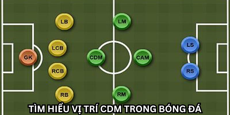 CDM trong bóng đá là gì và vai trò chiến thuật quan trọng