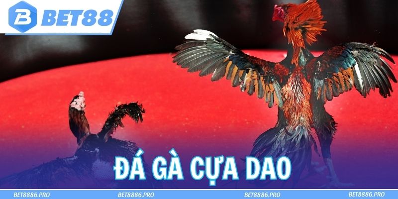 Đá Gà Cựa Dao Đỉnh Cao Tại Bet88 – Thế Giới Cược Hấp Dẫn