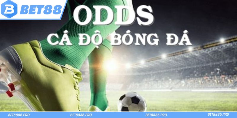 Hiểu rõ Odds là gì để tăng cơ hội chiến thắng