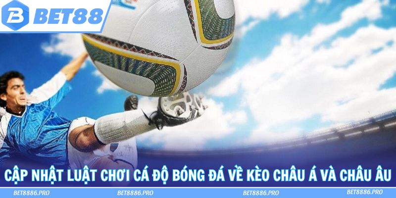 Khám phá luật chơi cá độ bóng đá dễ hiểu, dễ thắng