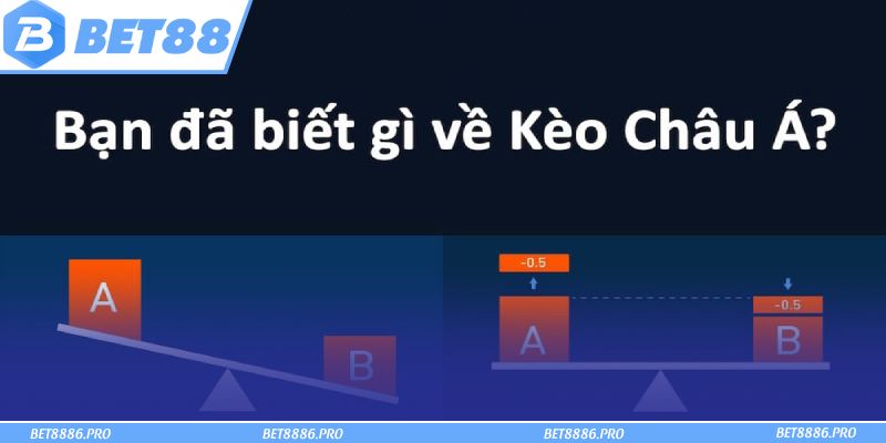 Kiến thức cơ bản cần hiểu về kèo châu Á