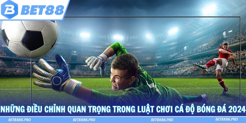 Nắm vững luật chơi cá độ bóng đá để trở thành cao thủ