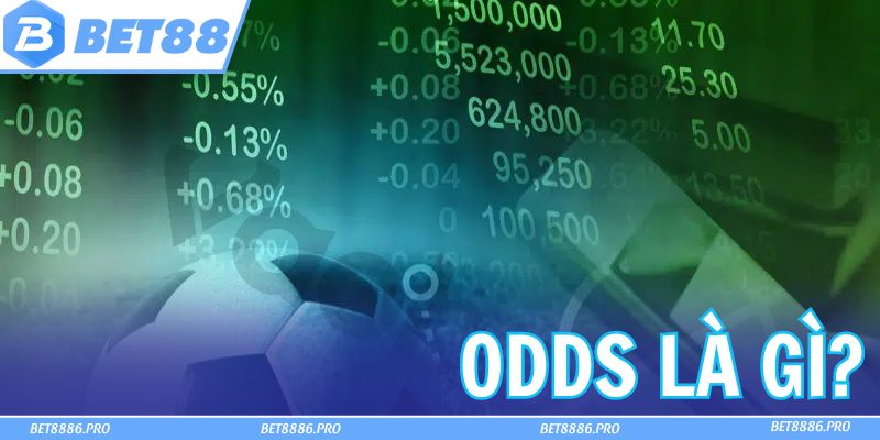 Odds Là Gì? Học Ngay Cách Chơi Để Không Bao Giờ Thua